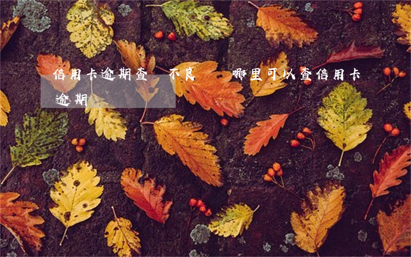 信用卡逾期查詢不良記錄(哪里可以查信用卡逾期記錄)