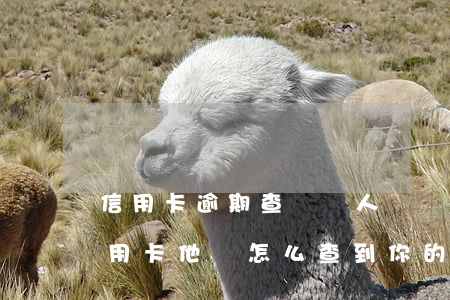 信用卡逾期查詢個人資產(chǎn)(欠信用卡他們怎么查到你的家庭信息)