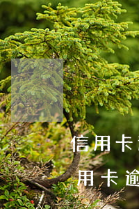 信用卡逾期查詢怎么查詢進(jìn)度(信用卡逾期查詢怎么查詢進(jìn)度電話)
