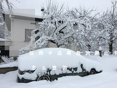 信用卡逾期查詢無此卡(信用卡逾期是否立案怎么查詢)