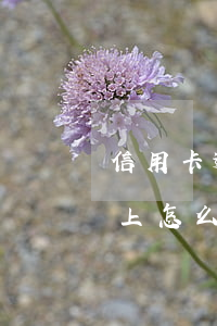 信用卡逾期查詢軟件可信嗎(網(wǎng)上怎么查信用卡逾期)