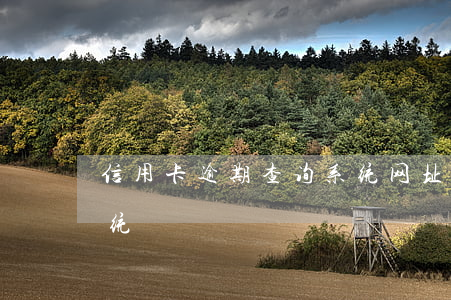信用卡逾期查询系统网址（信用卡逾期查询系统）