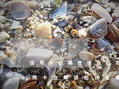 信用卡逾期查询自己有没有被起诉(怎么查信用卡逾期被起诉名单)