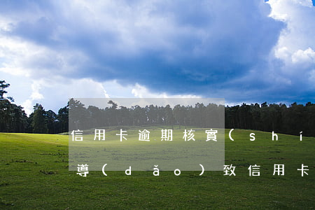 信用卡逾期核實(shí)工資(因拖欠工資導(dǎo)致信用卡逾期損失)