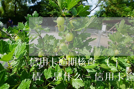信用卡逾期核查經(jīng)濟(jì)情況是什么-信用卡逾期核查經(jīng)濟(jì)情況是什么意思