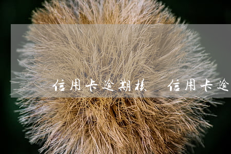 信用卡逾期核銷(信用卡逾期核銷是什么意思)