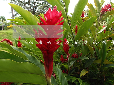 信用卡逾期核销说明什么(信用卡逾期销卡)
