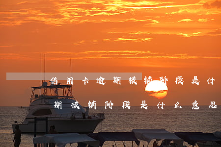 信用卡逾期核销阶段是什么意思-信用卡逾期核销阶段是什么意思啊