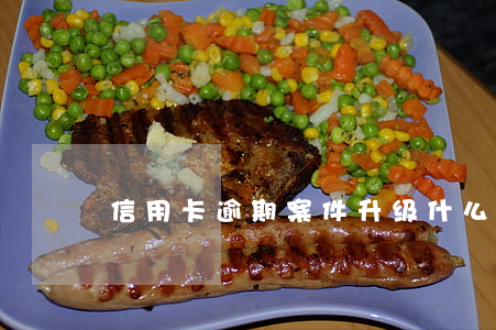 信用卡逾期案件升级(什么叫信用卡严重逾期)