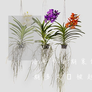 信用卡逾期案件可以二次起訴(信用卡2萬逾期多久會被起訴)