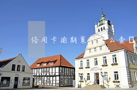 信用卡逾期案件怎么查詢(信用卡逾期哪里查)