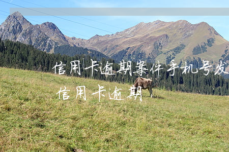 信用卡逾期案件手机号发来(手机号码原主人信用卡逾期)