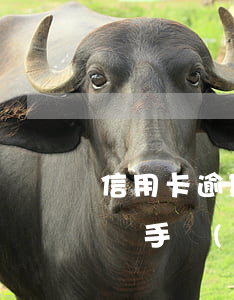 信用卡逾期案件手機(jī)號發(fā)來(手機(jī)號碼原主人信用卡逾期)