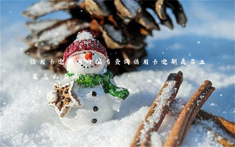 信用卡逾期案件编号查询(信用卡逾期是否立案怎么查询)