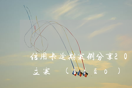 信用卡 逾期案例分享(2021年信用卡逾期立案標(biāo)準(zhǔn))