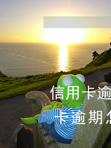 信用卡逾期案怎么處理方法(因刑事案件信用卡逾期怎么辦)