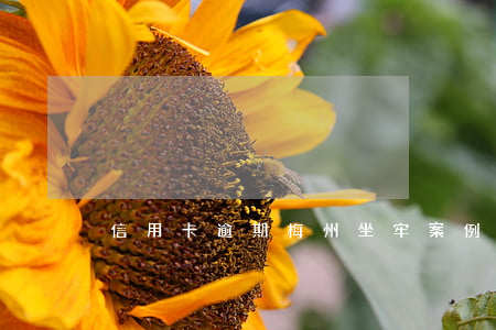 信用卡逾期梅州坐牢案例