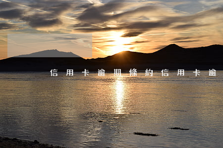 信用卡逾期條約(“信用卡逾期”)