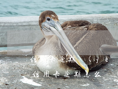 信用卡逾期業(yè)務(wù)去哪里接(信用卡逾期怎么聯(lián)系銀行)