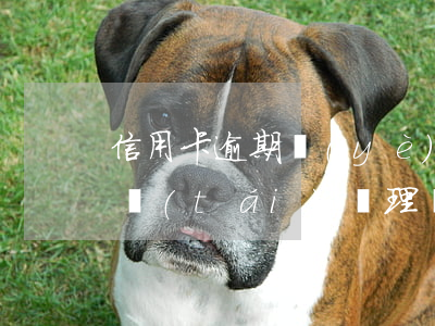 信用卡逾期業(yè)務(wù)可以到柜臺(tái)辦理嗎-信用卡逾期業(yè)務(wù)可以到柜臺(tái)辦理嗎安全嗎