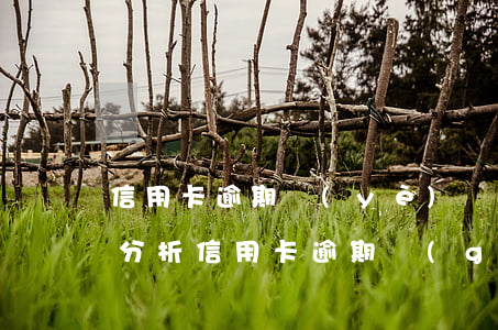 信用卡逾期業(yè)務現(xiàn)狀分析(信用卡逾期規(guī)模)
