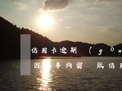 信用卡逾期構(gòu)成刑事案件的條件(因刑事拘留導致信用卡逾期是否構(gòu)成違約)