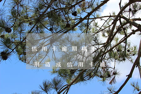 信用卡逾期構(gòu)成刑事犯罪嗎(因服刑造成信用卡逾期)