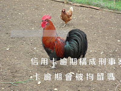 信用卡逾期構成刑事案件會抓人嗎-欠信用卡逾期會被拘留嗎