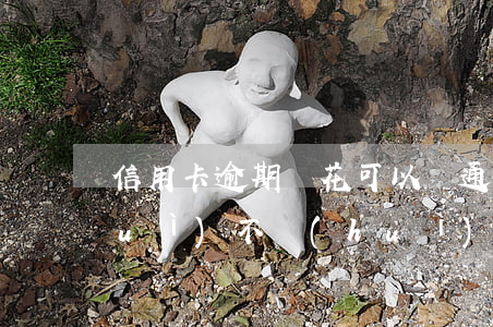 信用卡逾期樂花可以開通嗎(用樂花卡會(huì)不會(huì)影響辦信用卡)