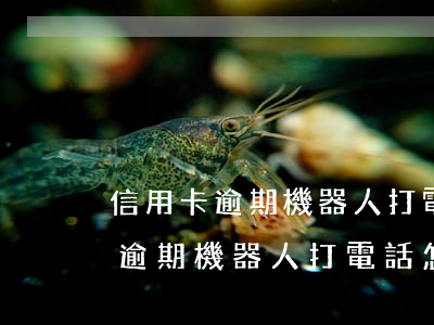信用卡逾期機器人打電話怎么回事-信用卡逾期機器人打電話怎么回事啊