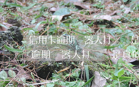 信用卡逾期機器人打電話是真的嗎-信用卡逾期機器人打電話是真的嗎嗎