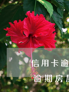信用卡逾期機構(gòu)房屋抵押(信用卡逾期房屋可以抵押貸款嗎)