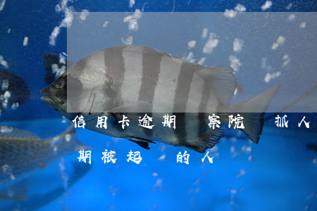 信用卡逾期檢察院會抓人嗎(有沒有信用卡逾期被起訴的人)