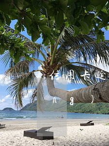 信用卡逾期檢測(信用卡逾期檢測系統(tǒng))