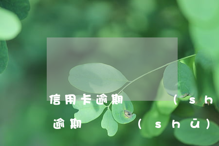 信用卡逾期檢討書(shū)范本-信用卡逾期檢討書(shū)范本怎么寫(xiě)