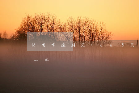 信用卡逾期欠100多(欠信用卡10萬逾期一年)