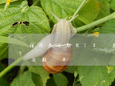 信用卡逾期欠10萬怎么辦(欠信用卡10萬逾期兩年)