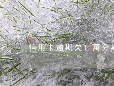 信用卡逾期欠1萬分期