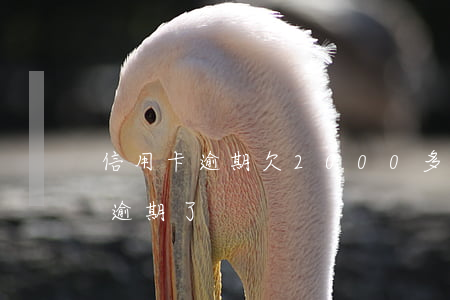 信用卡逾期欠2000多違約金-欠信用卡逾期了