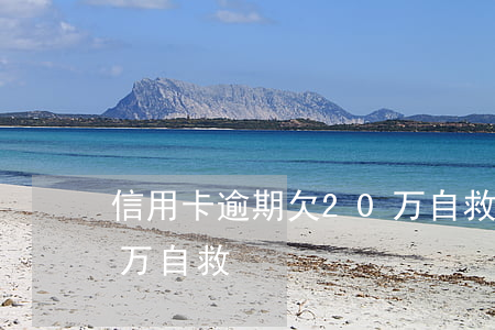 信用卡逾期欠20万自救方法(欠信用卡40万自救)