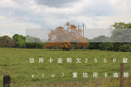 信用卡逾期欠2500嚴(yán)不嚴(yán)重(信用卡逾期欠2500嚴(yán)不嚴(yán)重)