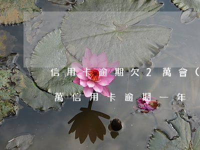 信用卡逾期欠2萬會(huì)起訴嗎 欠2萬信用卡逾期一年