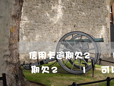 信用卡逾期欠2萬還1萬可以嗎-信用卡逾期欠2萬還1萬可以嗎怎么還
