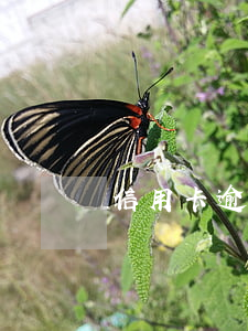 信用卡逾期欠30萬 欠信用卡五十萬逾期了