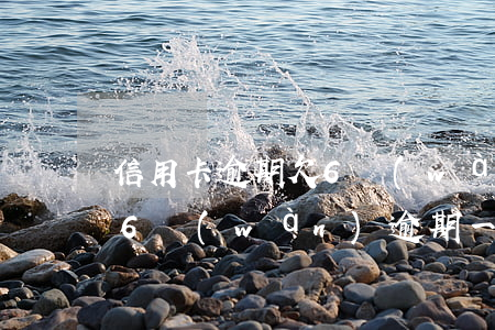 信用卡逾期欠6萬(wàn)欠款(欠信用卡6萬(wàn)逾期一年了)