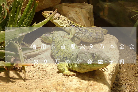 信用卡逾期欠9万本金会做牢吗(信用卡逾期欠9万本金会做牢吗)