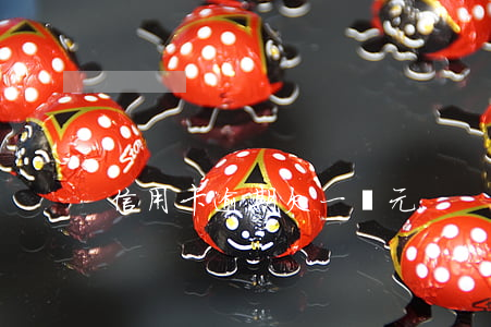 信用卡逾期欠一萬元