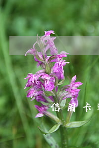 信用卡逾期欠了八千说要发律师函