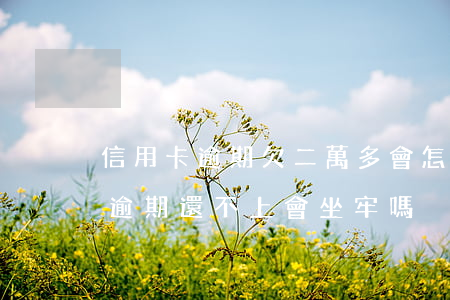 信用卡逾期欠二萬多會怎樣(欠信用卡兩萬多逾期還不上會坐牢嗎)