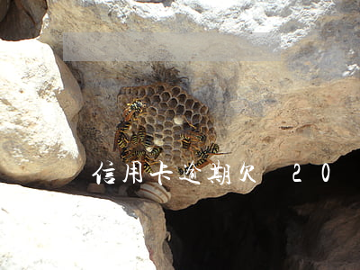 信用卡逾期欠債20萬(wàn)